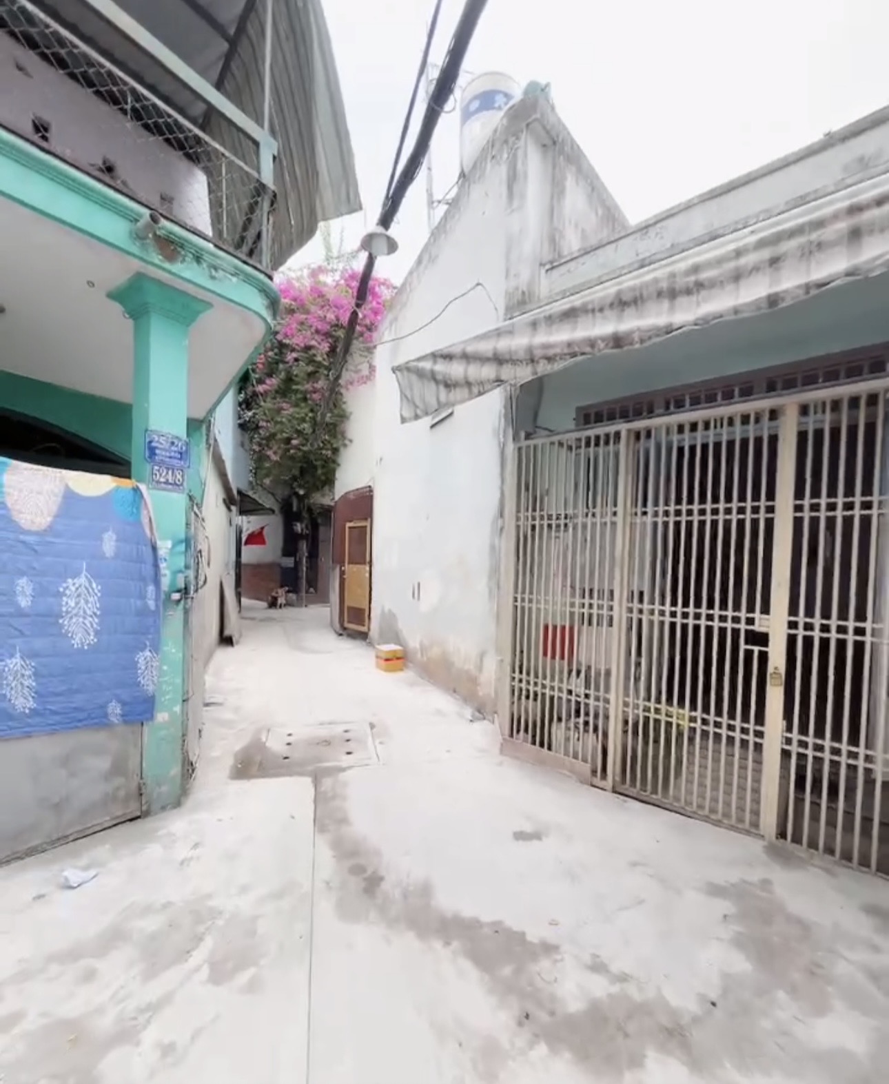 Bán Nhà hẻm Đoàn Giỏi  