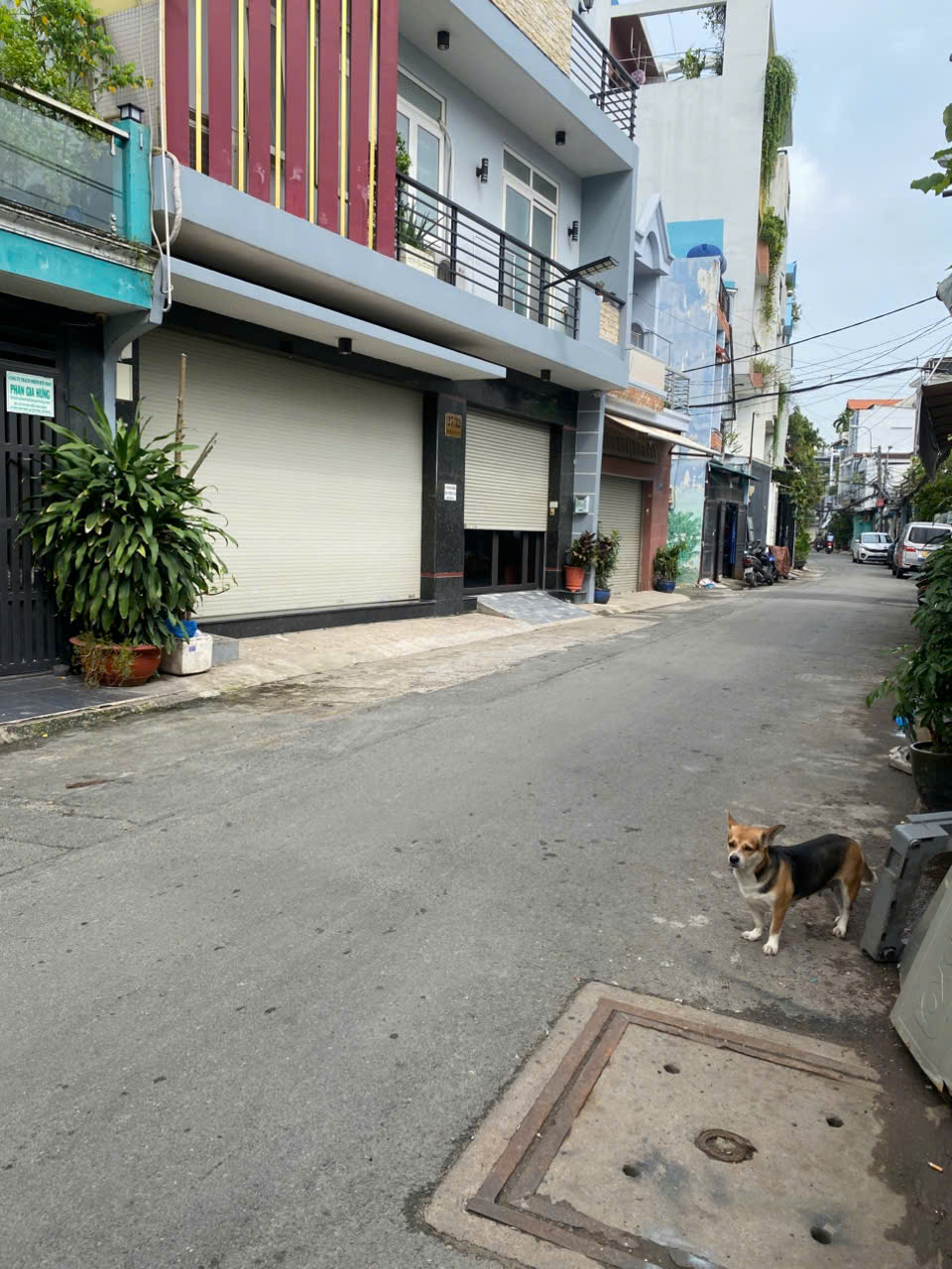 HẺM KINH DOANH NGUYỄN VĂN SĂNG. P TÂN SƠN NHÌ [4x15.5m]